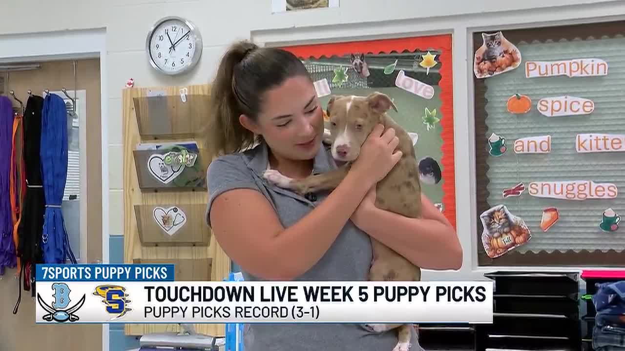 Shelter Dog ‘Bingo’ Tapped for Game of the Week Pick in Lake Charles