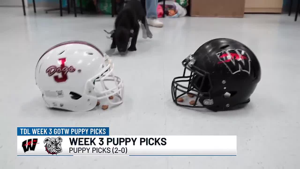 Black Labrador Mix Zoey Tapped as ‘Touchdown Live Game of the Week’ Mascot