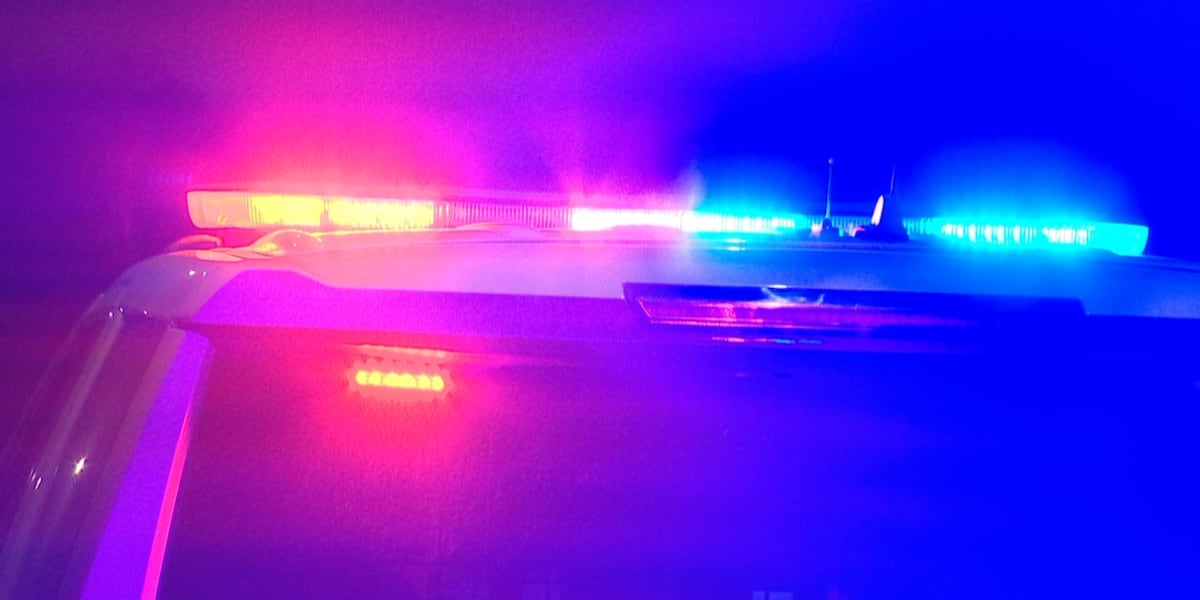 Five detained by Border Control after gunshots heard on Smith Rd.