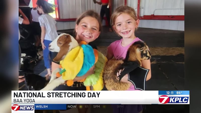 Goat yoga is the latest trend--making National Stretching Day a little more interesting and...