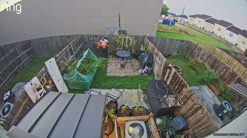 CAUGHT ON CAMERA: Escaped inmate enters backyard, hides from police in garbage can