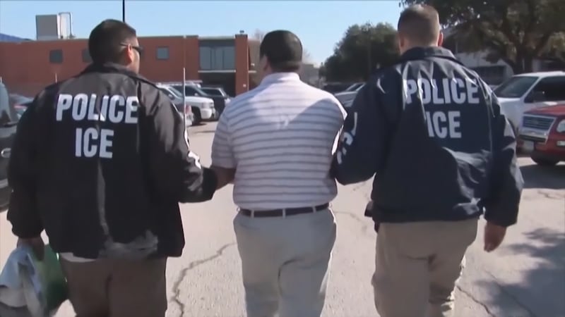 Ante arrestos de ICE en cortes migratorias, esto recomiendan los expertos a migrantes con citas pendientes