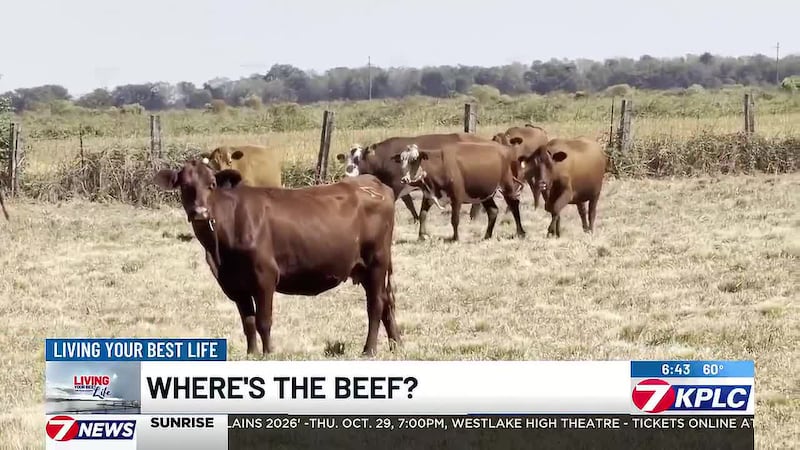 Where’s the Beef: How food inspections keep your food safe