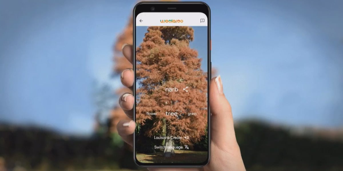 Google launches app to preserve Louisiana Creole - KPLC