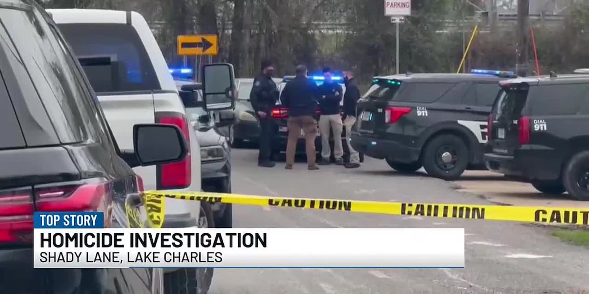 Assault News Image