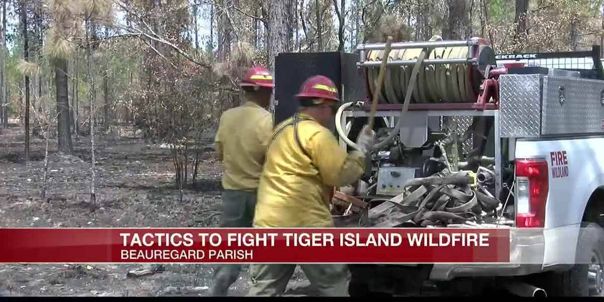 Task Force Fire National Fire Task Force explains science behind containing Tiger ...