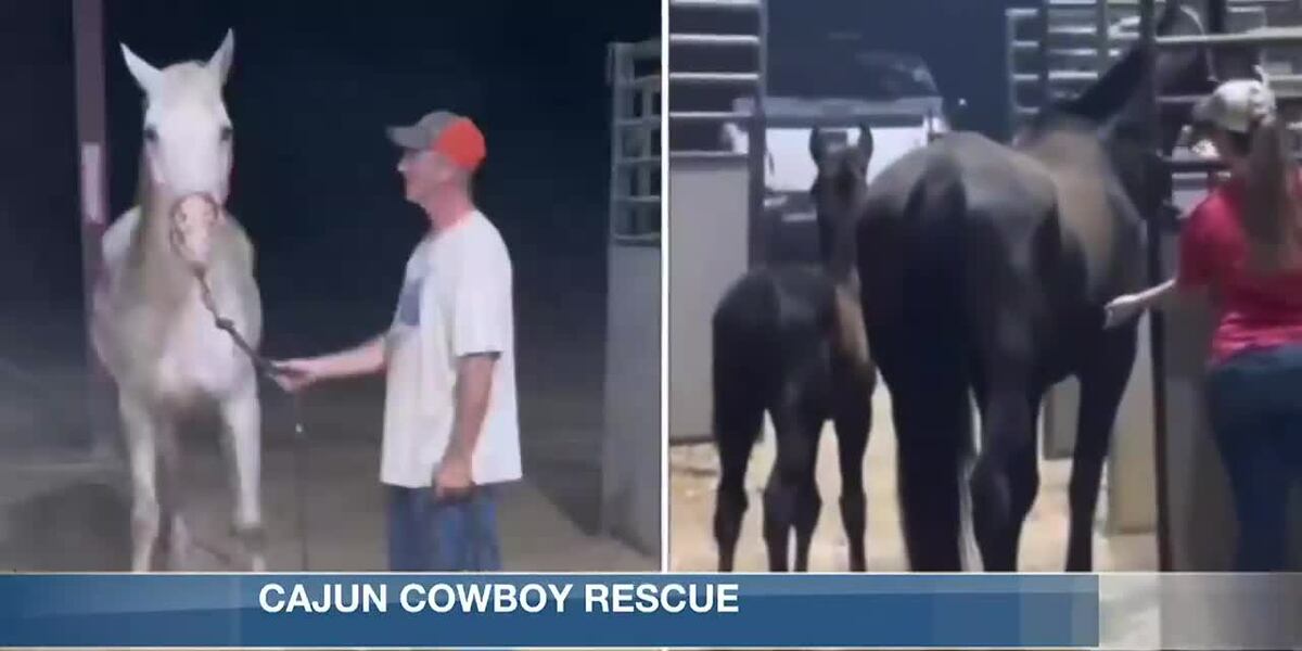 Cajun Cowboy Rescue helps animals get to safety during fires