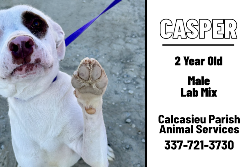 Casper
