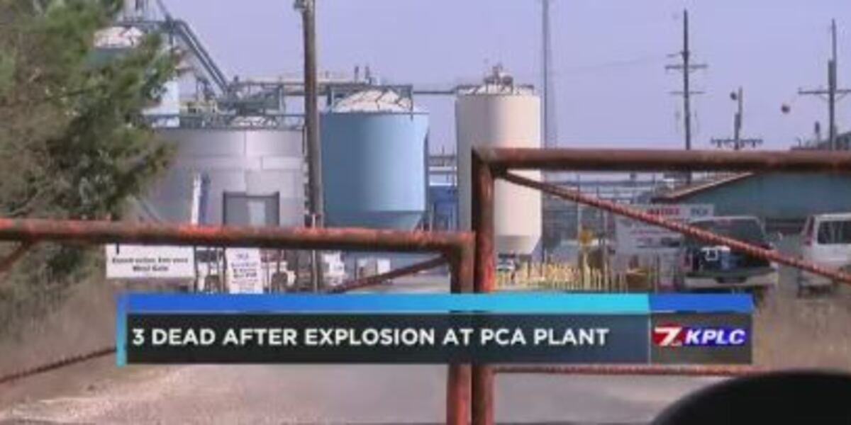Ai Fish Exploding Three killed in explosion at PCA mill in Beauregard