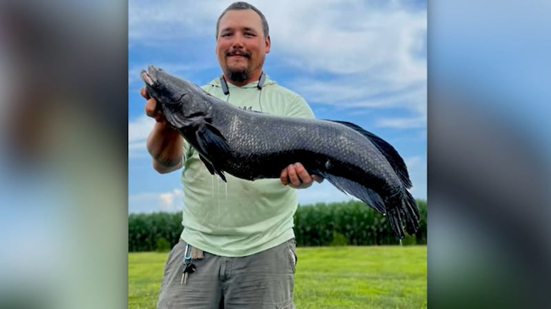 According to the Maryland Department of Natural Resources, Damien Cook of Rhodesdale was...