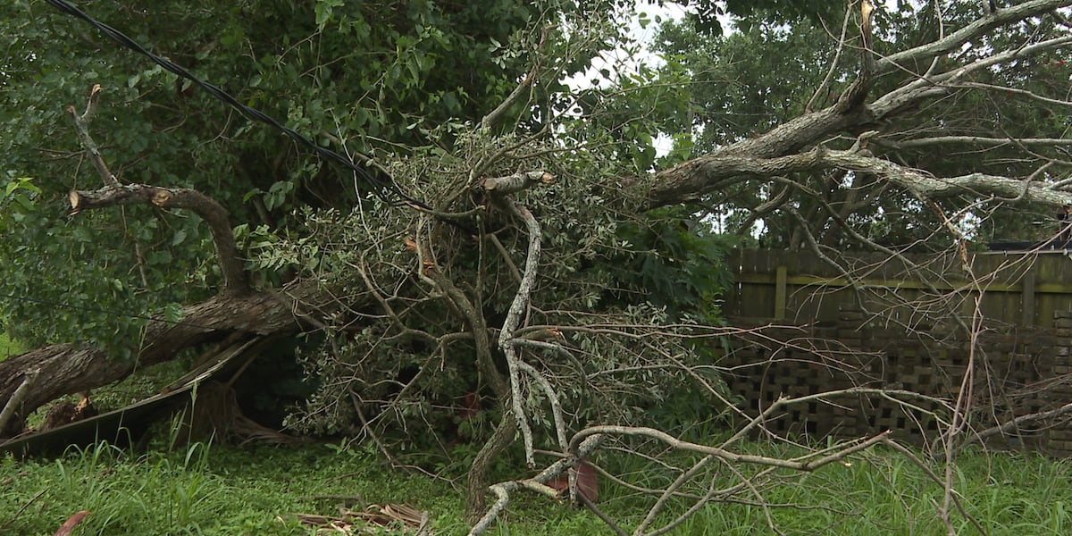 National Weather Service confirms EF-0 tornado touched down in Arabi Disabled veteran faces mounting costs after storm damages home, pulls power lines from structure