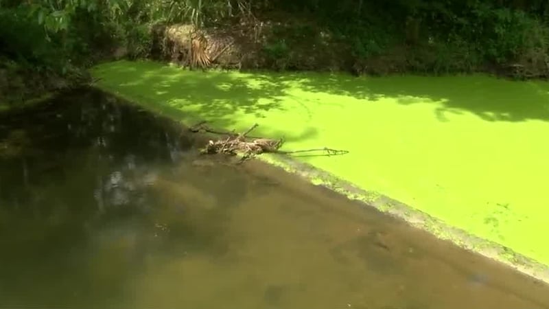 Louisiana Dept. of Health validates Jennings resident’s drainage concerns