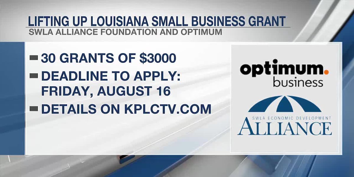 $3,000 small business grant available for a limited time