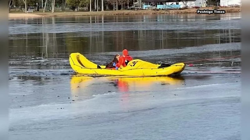 Firefighters rescued a dog that had fallen through thin ice Monday.