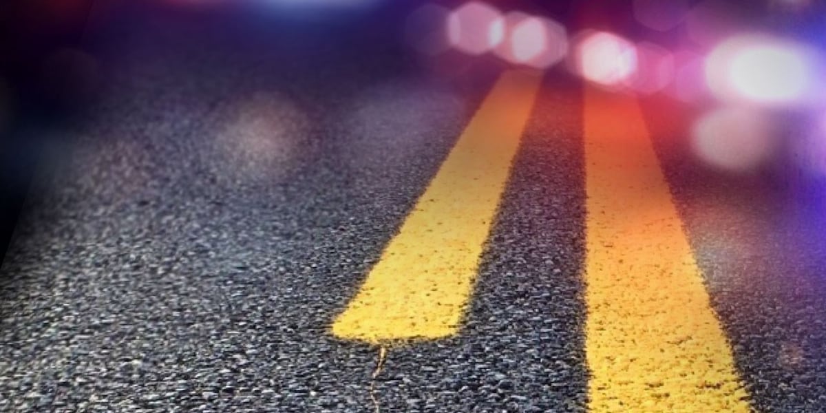 At least 1 dead in fatal accident on La. 171
