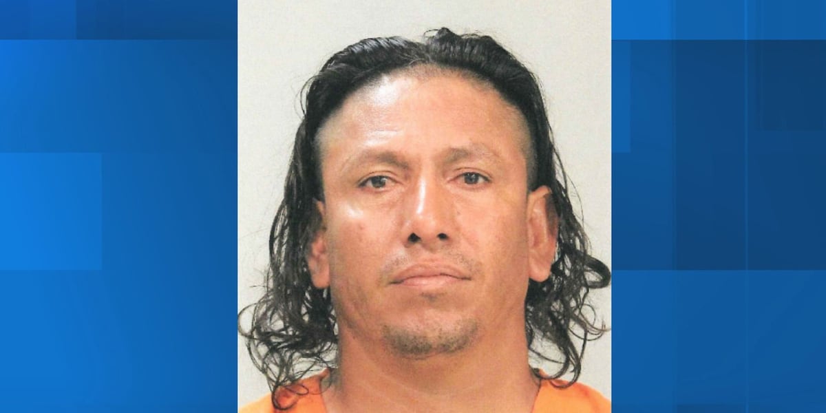 Assault News Image