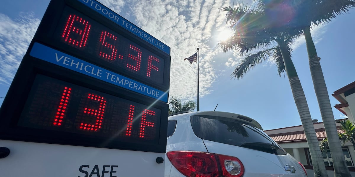 At least 5 young children die in hot cars in the US within a week, reports say