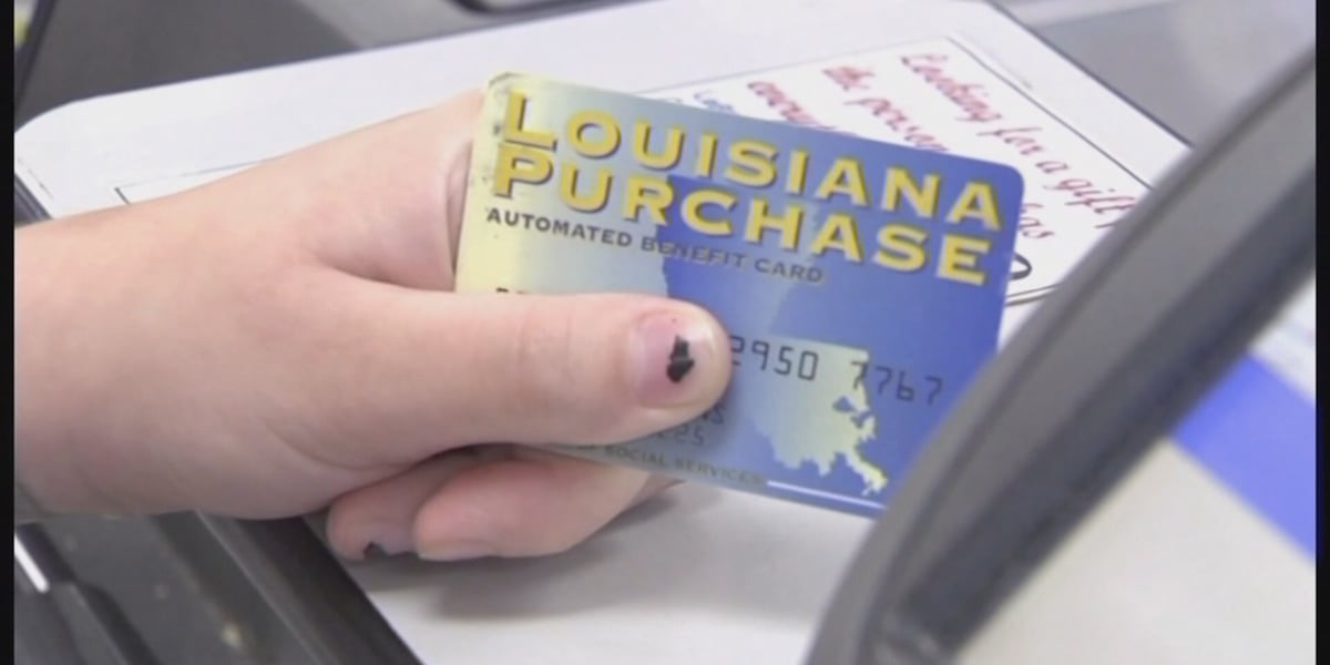 Louisiana lawmakers want to tap LDH funds to assist SNAP recipients in November
