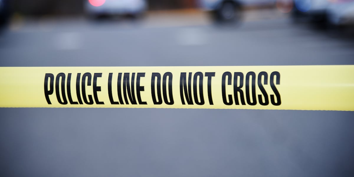 Traffic fatality near Hackberry