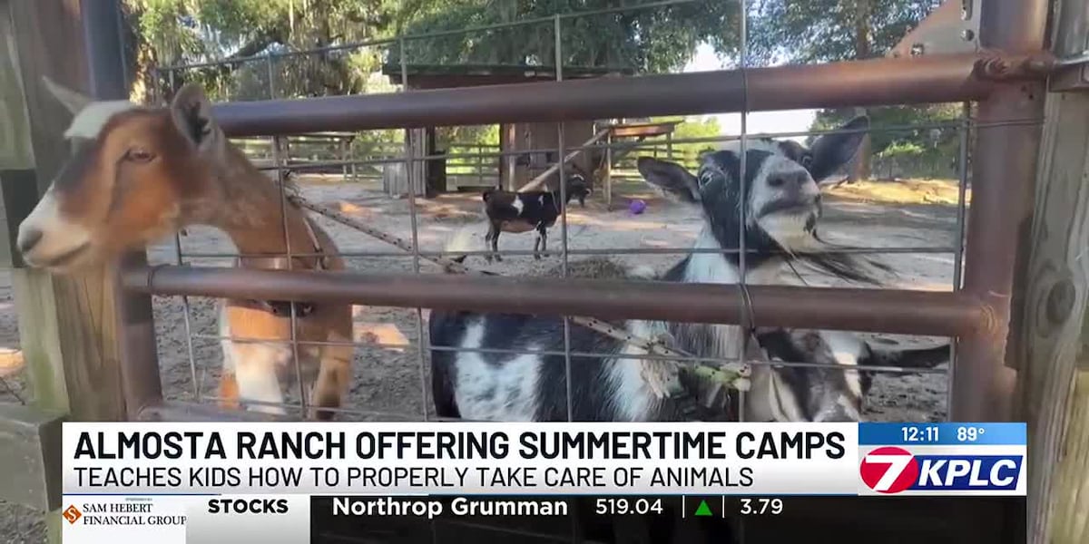 Almosta Ranch House Almosta Ranch offering camp that teaches kids how to properly care for ...