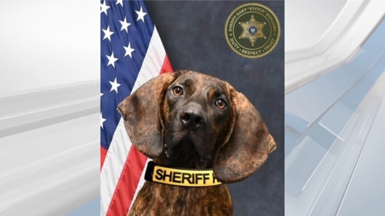 Calcasieu K9 Officer Swiftly Locates Missing Elderly Man Using Keen Sense of Smell 1 Calcasieu K9 Officer Swiftly Locates Missing Elderly Man Using Keen Sense of Smell
