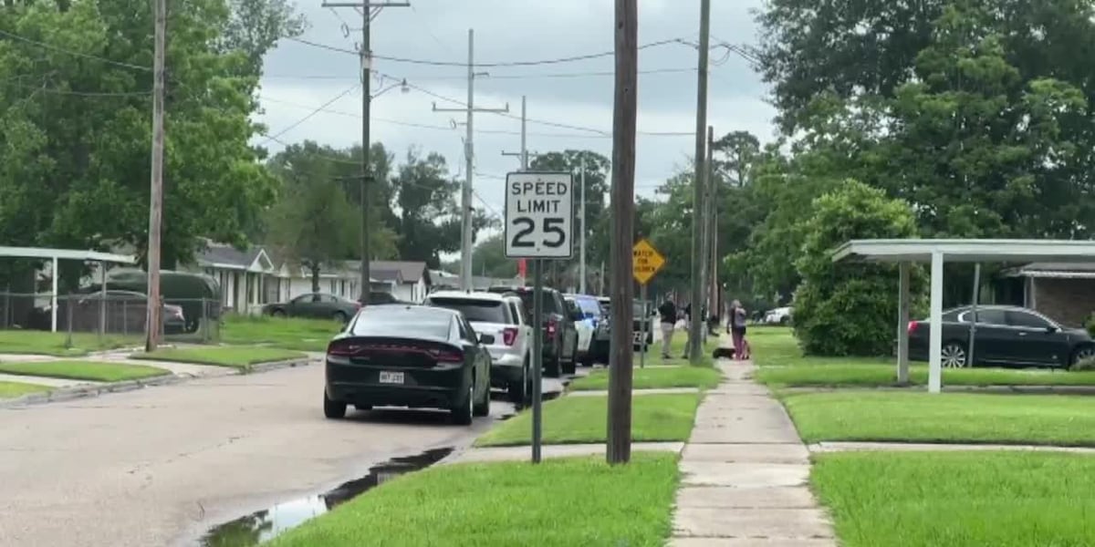 Assault News Image