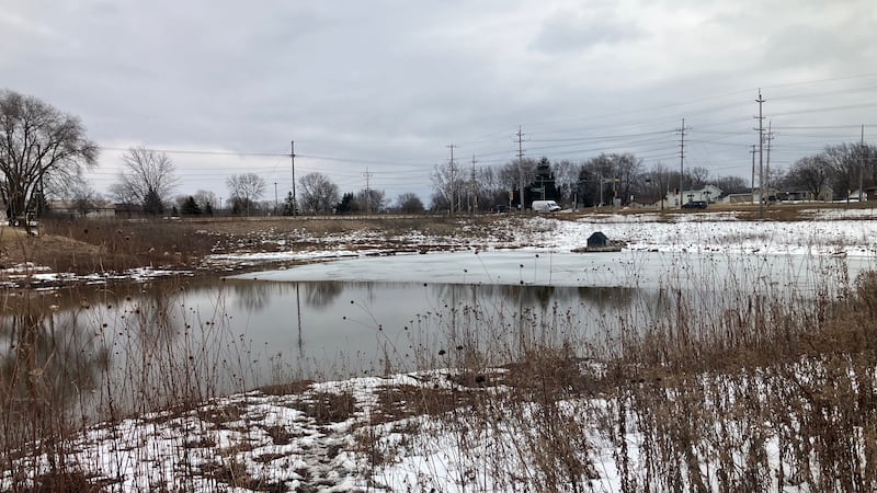 Crews remove 90 dead birds from Little Chute pondtested samples show bird flu