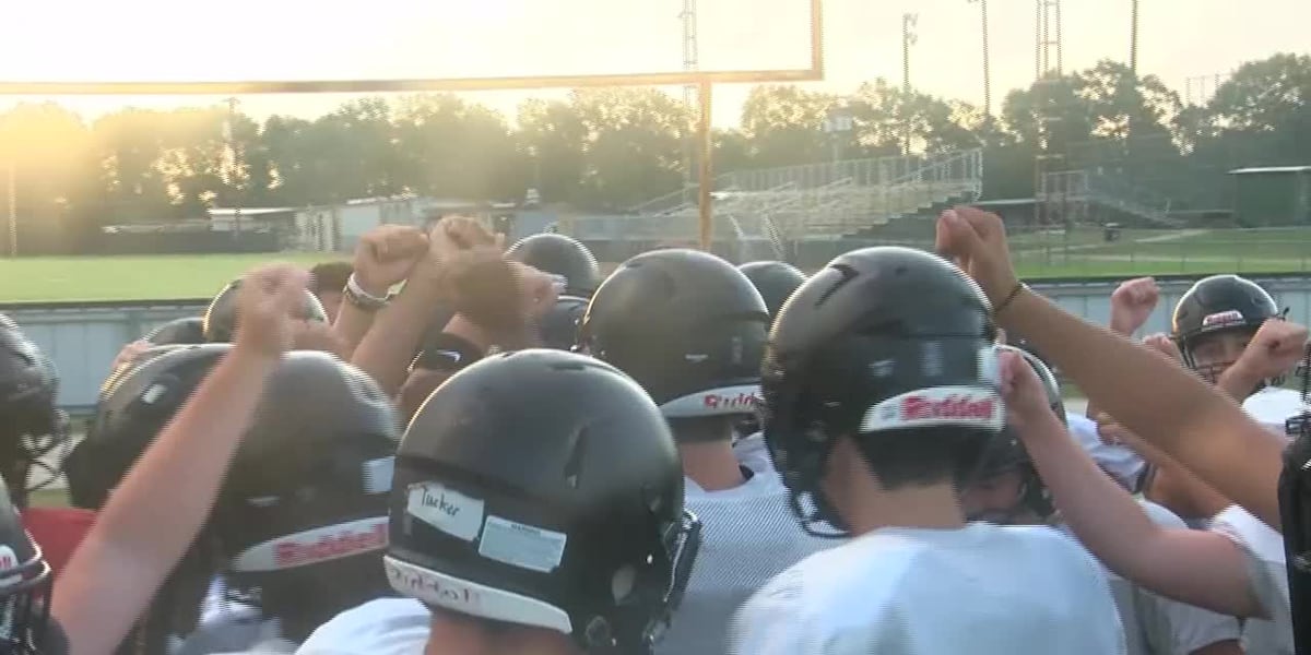 Two A Days Two-A-Days: Kinder Yellowjackets