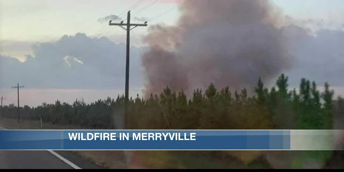 Wildfire contained in Singer