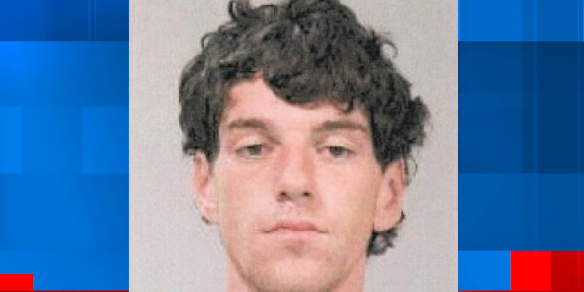 Assault News Image