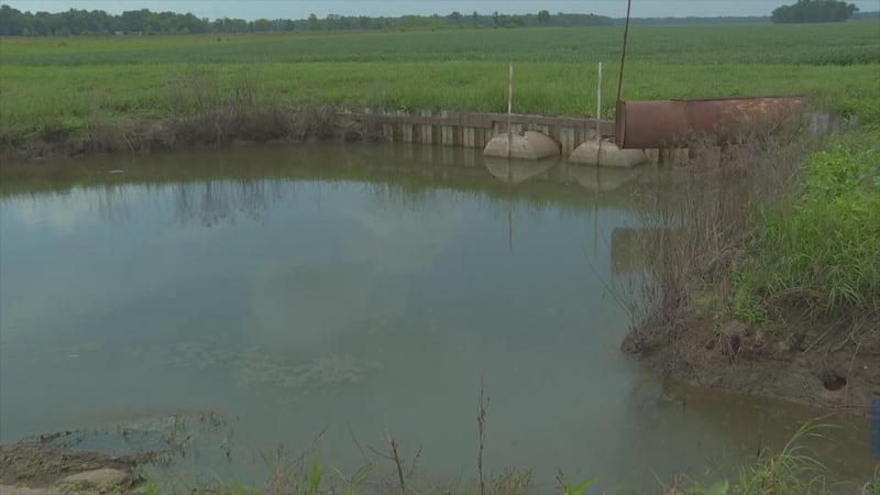 A judge has ruled in favor of a farm in a legal dispute with St. Landry Parish government over...