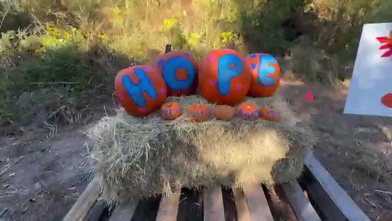 The Great Pumpkin Trail returns to Tuten Park